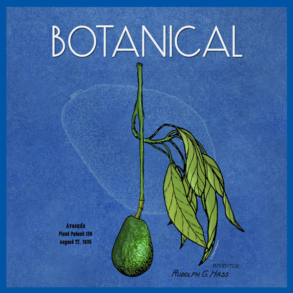 Botanical