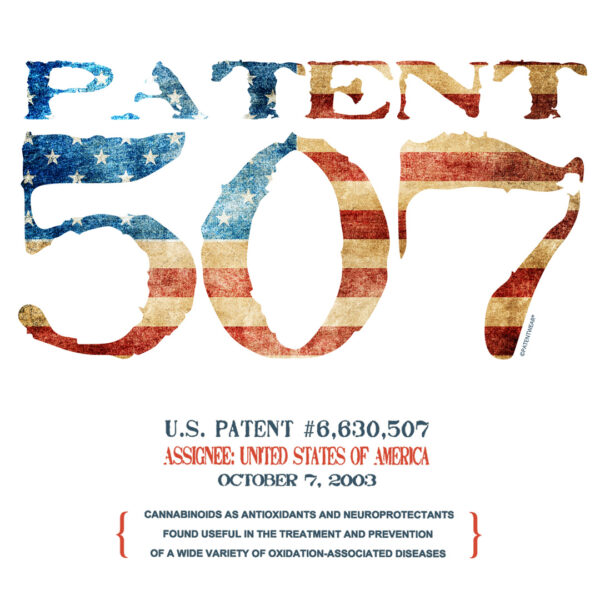 Patent 507 Design on Lights