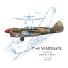 P-40 Warhawk Design