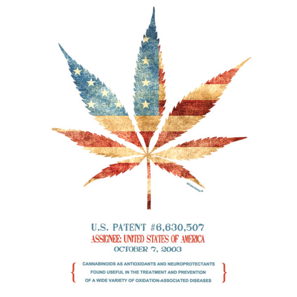 Cannabis 507 Design on Lights